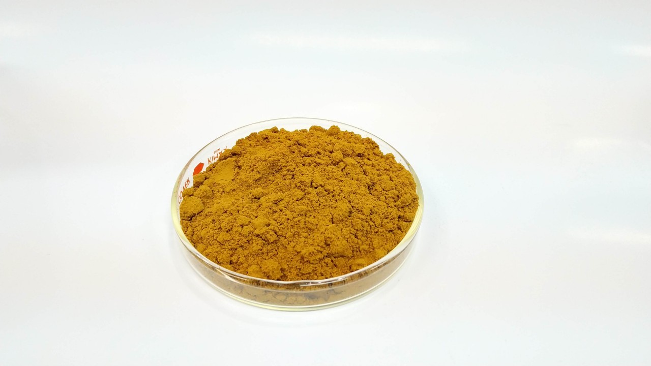 สารสกัดจากขิง Ginger Extract