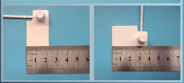 Tagสายรัด -0001