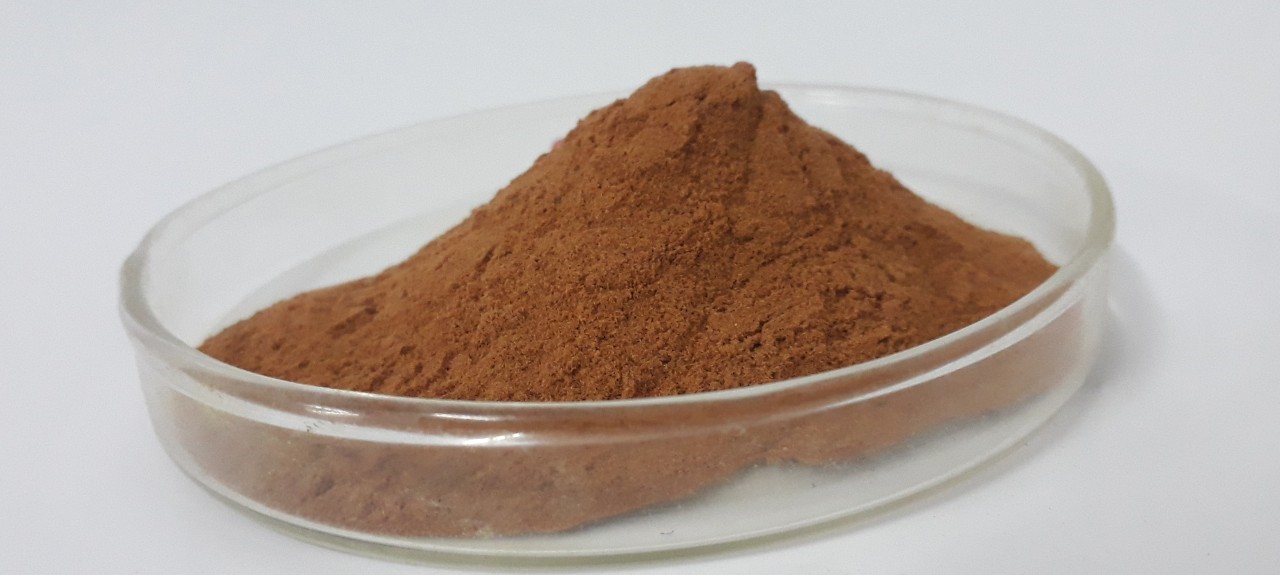 สิ่งสกัดจากชาเขียว Green Tea Extract