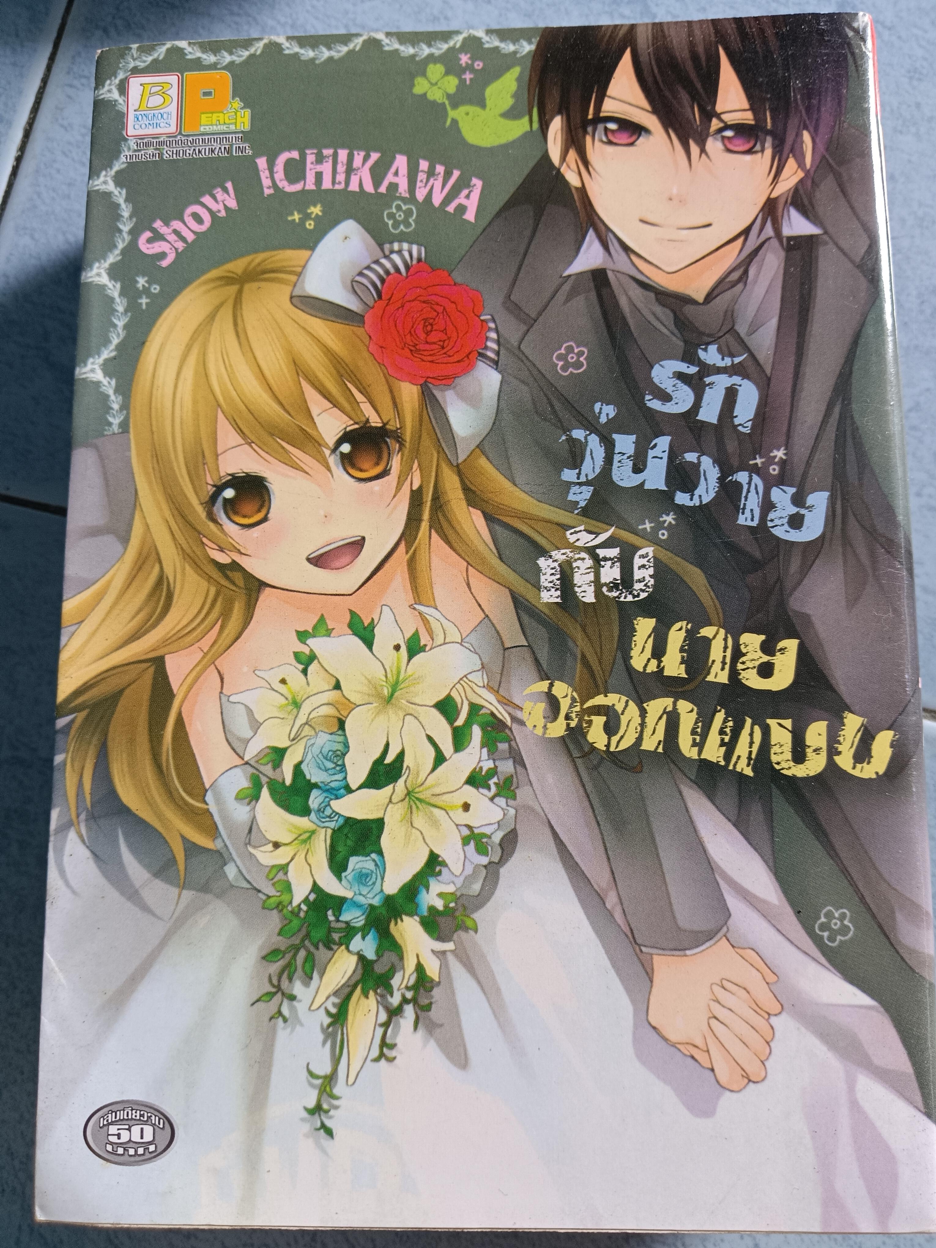การ์ตูน รักวุ่นวายกับนายออกแบบ