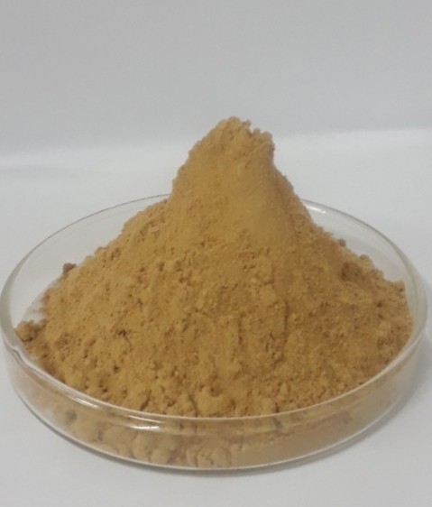 Citus Aurantrium Extract สารสกัดส้มซ่า