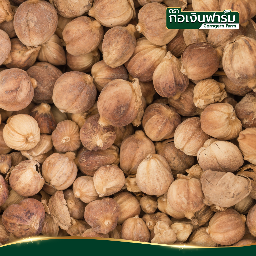 กระวานอบแห้ง Dried Siam Cardamom ตรา กอเงินฟาร์ม