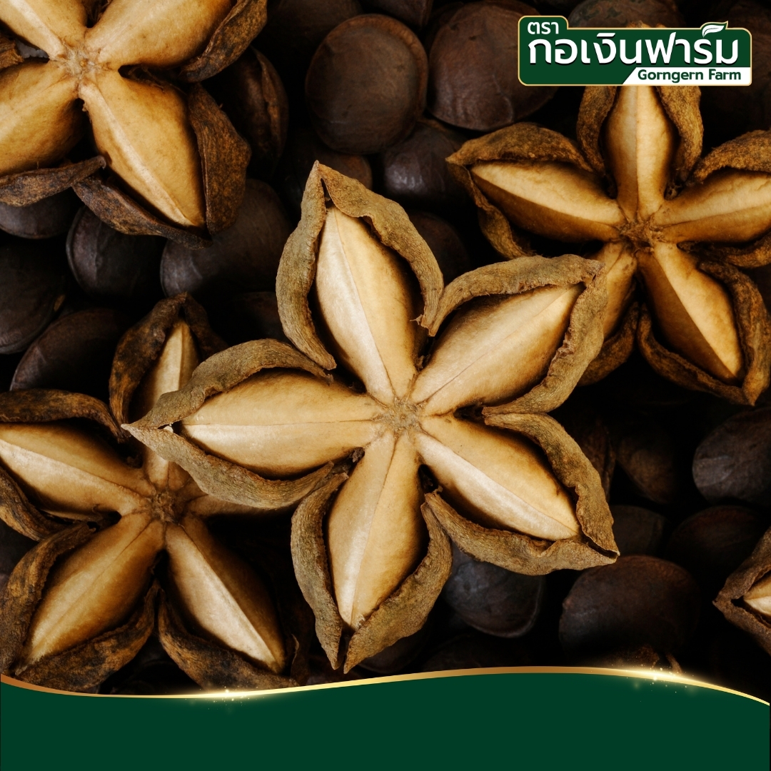 ผลิตภัณฑ์เสริมอาหาร น้ำมันถั่วดาวอินคา (ตรา กอเงินฟาร์ม) Sacha Inchi Oil Dietary Supplement Product (gorngernfarm brand) ชนิด ซอฟเจล บรรจุ 60 แคปซูล