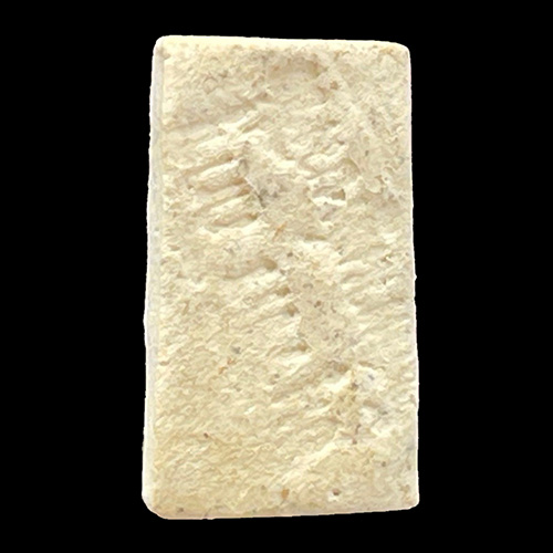 พระสิวลี อ.เชื้อ วัดสะพานสูง กทม.