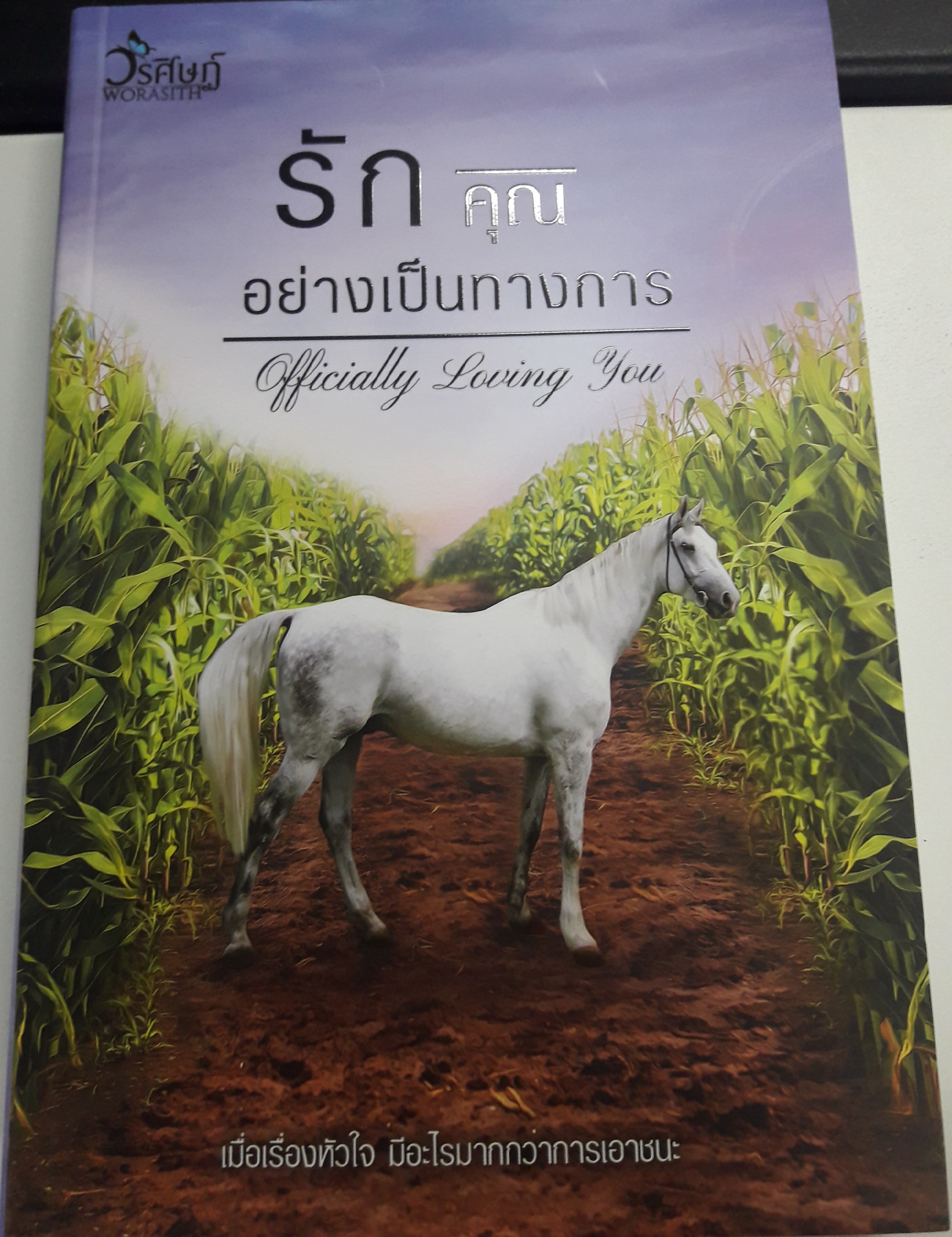 รักคุณอย่างเป็นทางการ