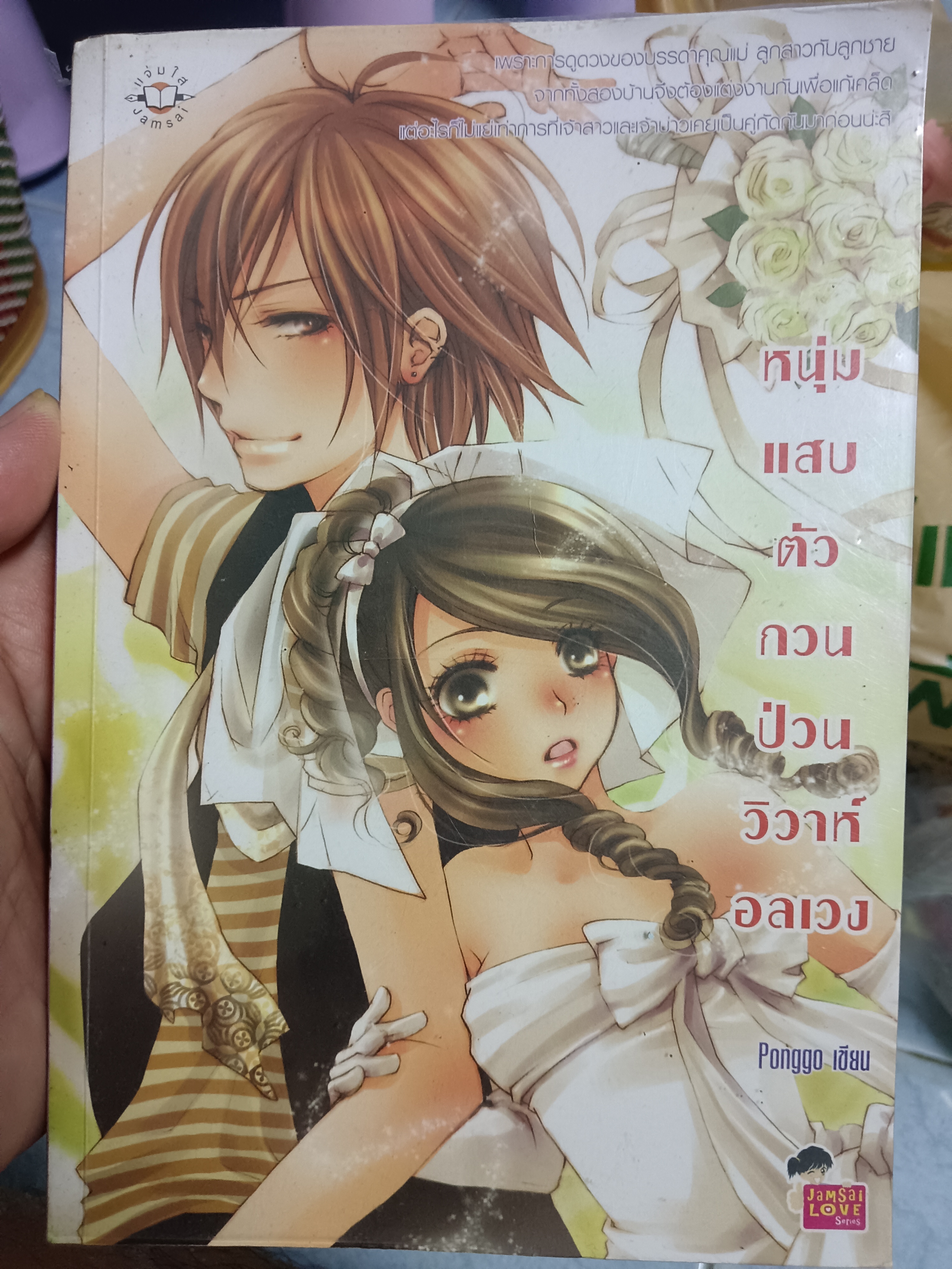 หนุ่มแสบตัวกวนป่วนวิวาห์อลเวง