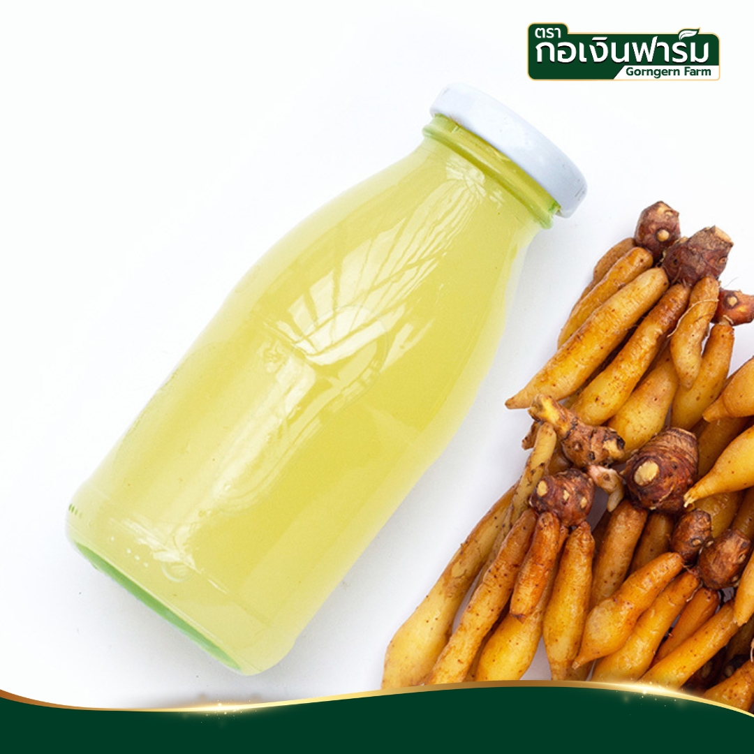 กระชายขาวผง Fingerroot powder ตรากอเงินฟาร์ม