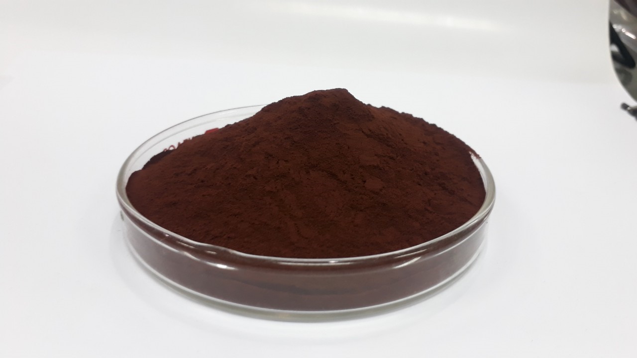 สารสกัดจากเปลือกสน Pine Bark Extract