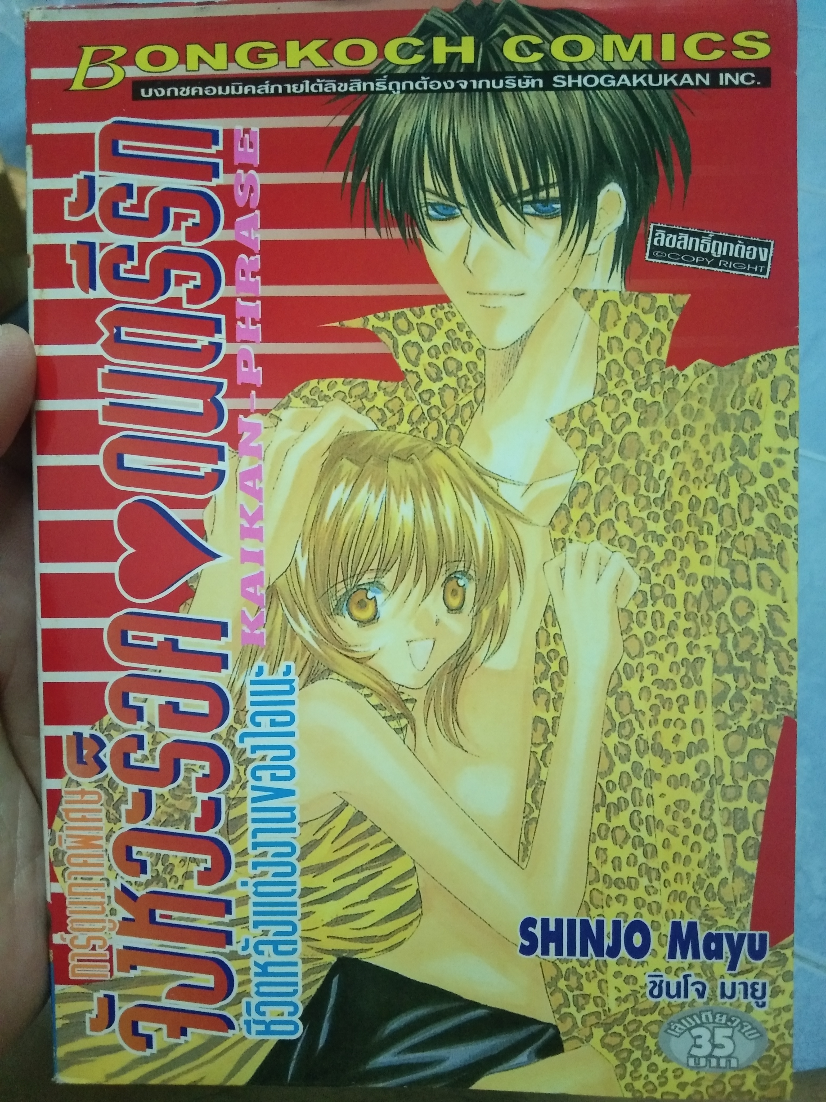 การ์ตูน จังหวะร็อคดนตรีรัก ชีวิตหลังแต่งงานของไอเนะ