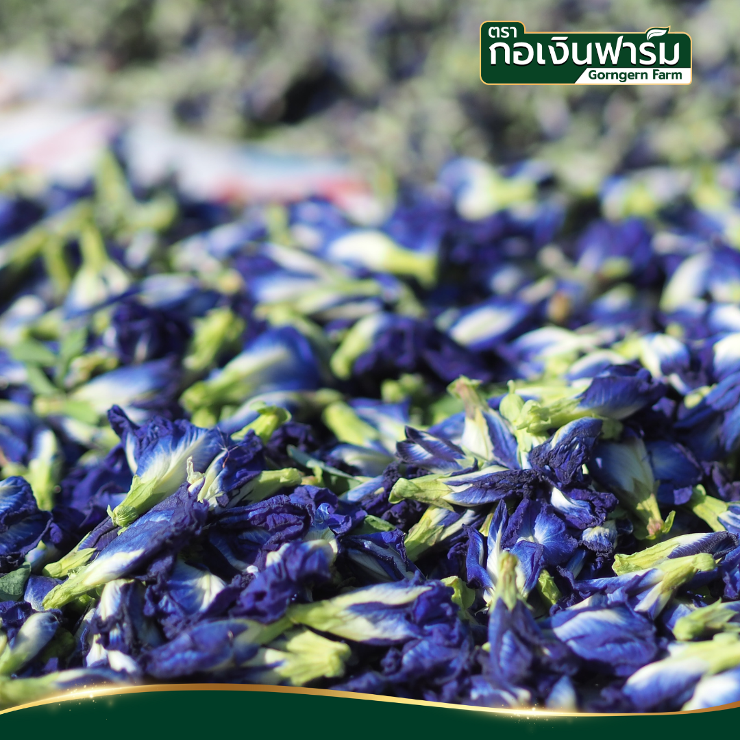 อัญชันแห้ง Dried Butterfly Pea ตรากอเงินฟาร์ม