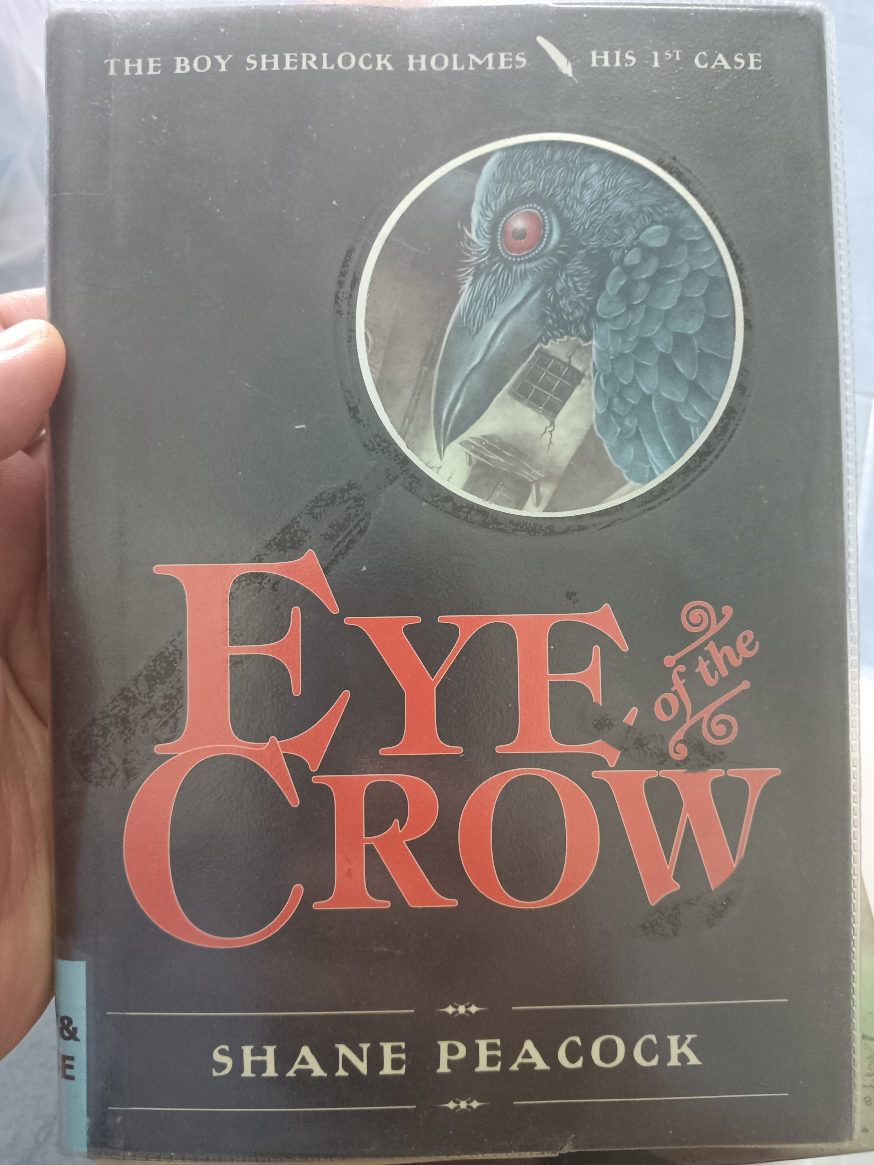 EYE of the CROW