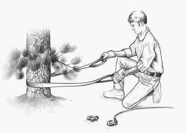 เชือกลาก เชือกคล้องสายวิ้น