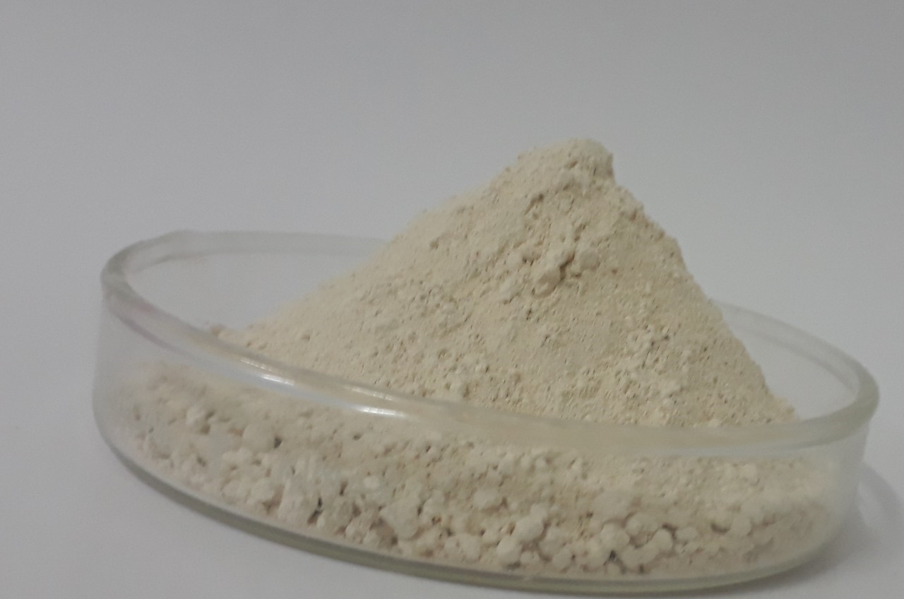 ส้มแขก (การ์ซีเนีย) Garcinia Extract