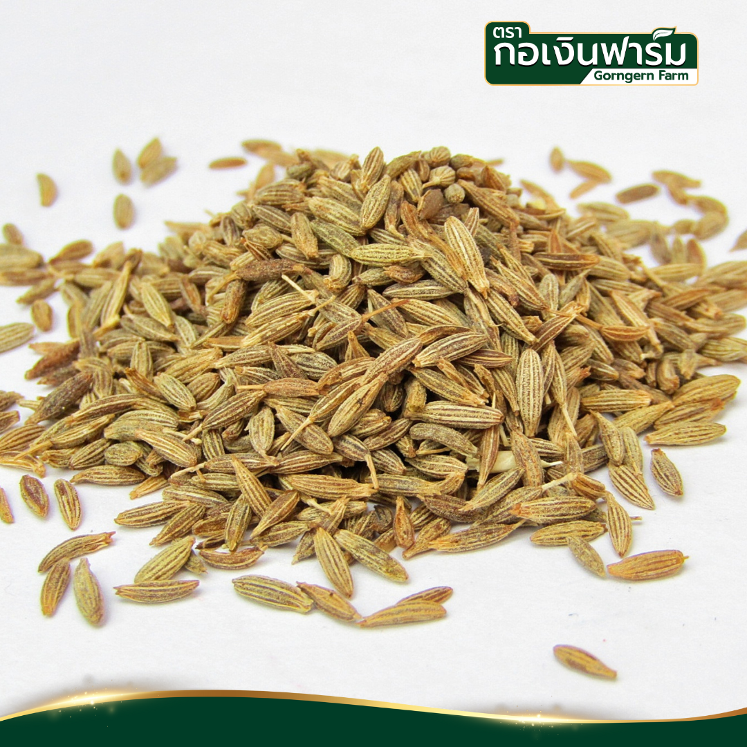 ยี่หร่าอบแห้ง ตรา กอเงินฟาร์ม (Dried Cumin ) ขนาด 200 กรัม