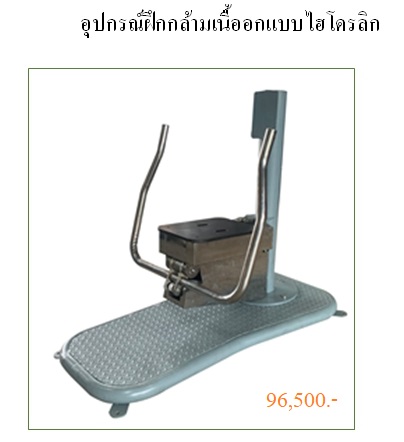 อุปกรณ์ฝึกกล้ามเนื้ออกแบบไฮโดรลิก