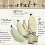 ประโยชน์ของกล้วย