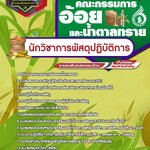 สรุปแนวข้อสอบนักวิชาการพัสดุปฏิบัติการ สำนักงานคณะกรรมการอ้อยและน้ำตาลทราย (ใหม่)