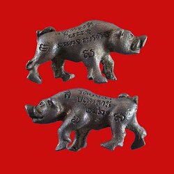 หมูป่า มหาลาภ หลวงปู่เส็ง วัดบางนา ปทุมธานี