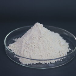 วีทกลูเตนท์ แป้งโปรตีน Wheat Gluten