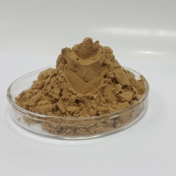 สารสกัดเห็ดหอม Shitake Mushroom Extract