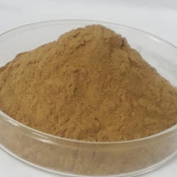 สารสกัดถั่งเช่า Cordyceps Extract