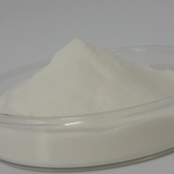 คอลลาเจน Fish Collagen (แคนาดา)