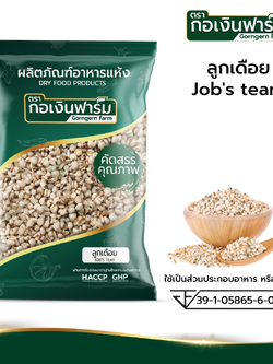 ลูกเดือย Job's tear
