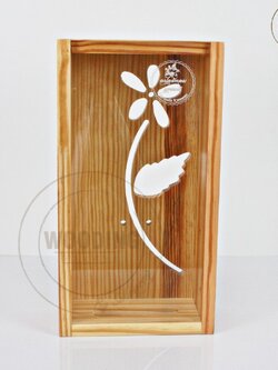 กล่องบรรจุภัณฑ์