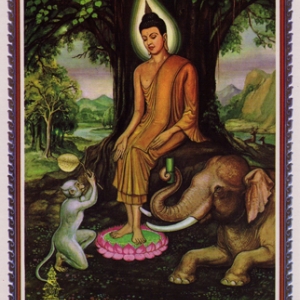 พระประจำตัวคนเกิดวันพุธกลางคืน - ปางปาลิไลยกะ