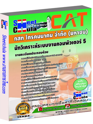 นักวิเคราะห์ระบบงานคอมพิวเตอร์ 5 กสท.