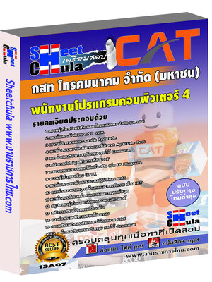 พนักงานโปรแกรมคอมพิวเตอร์ 4 กสท.