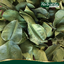 ใบมะกรูดอบแห้ง Dried Kaffir Lime ตรากอเงินฟาร์ม ขนาด 50 กรัม