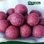 มันม่วงผง Purple sweet potato powder ตรากอเงินฟาร์ม