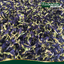 อัญชันแห้ง Dried Butterfly Pea ตรากอเงินฟาร์ม