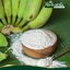 กล้วยผง Banana Powder ตรากอเงินฟาร์ม