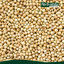 ลูกผักชีแห้ง ตรา กอเงินฟาร์ม Dried Coriander (Gorngern Farm Brand) ขนาด 200 กรัม