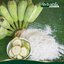 กล้วยผง Banana Powder ตรากอเงินฟาร์ม