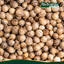 ลูกผักชีแห้ง ตรา กอเงินฟาร์ม Dried Coriander (Gorngern Farm Brand) ขนาด 200 กรัม