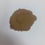 สิ่งสกัดเจียวกู่หลาน Gynostemma Extract
