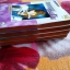 วิญญาณทะเล้น1-4เล่มจบ/SHINOHARA CHIE