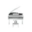 Piano - เปียโน