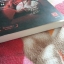 คินดะอิจิ ยอดนักสืบ ตอนที่ 14 ผึ้งนางพญา