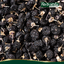 เก๋ากี๋ ตรา กอเงินฟาร์ม Goji Berry (Gorngern Farm Brand) ขนาด 200 กรัม