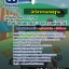 สรุปแนวข้อสอบนักวิชาการมาตรฐาน สำนักงานมาตรฐานสินค้าเกษตรและอาหารแห่งชาติ (ใหม่)